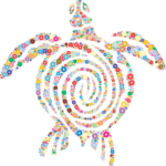 turtle, tortoise, animal-5279561.jpg